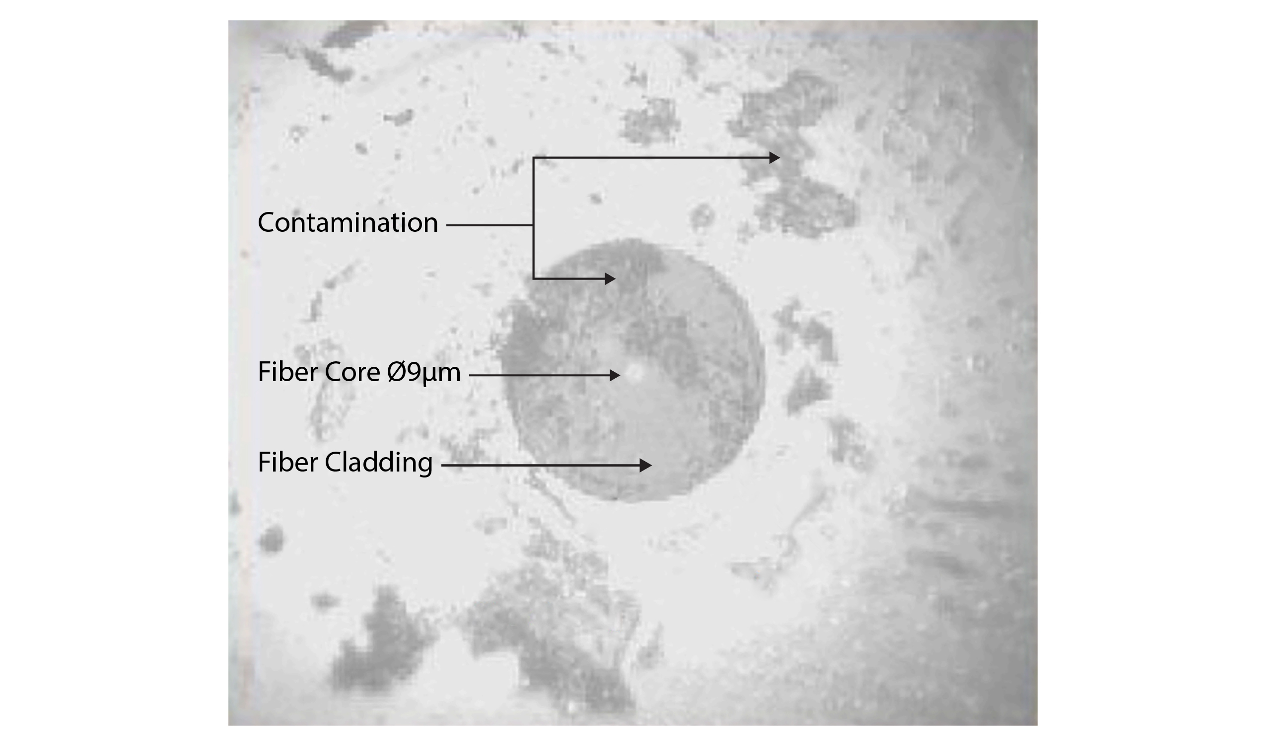 View on a physical contact termini end-face at 200x magnification showing typical contamination from dust and oily deposits.