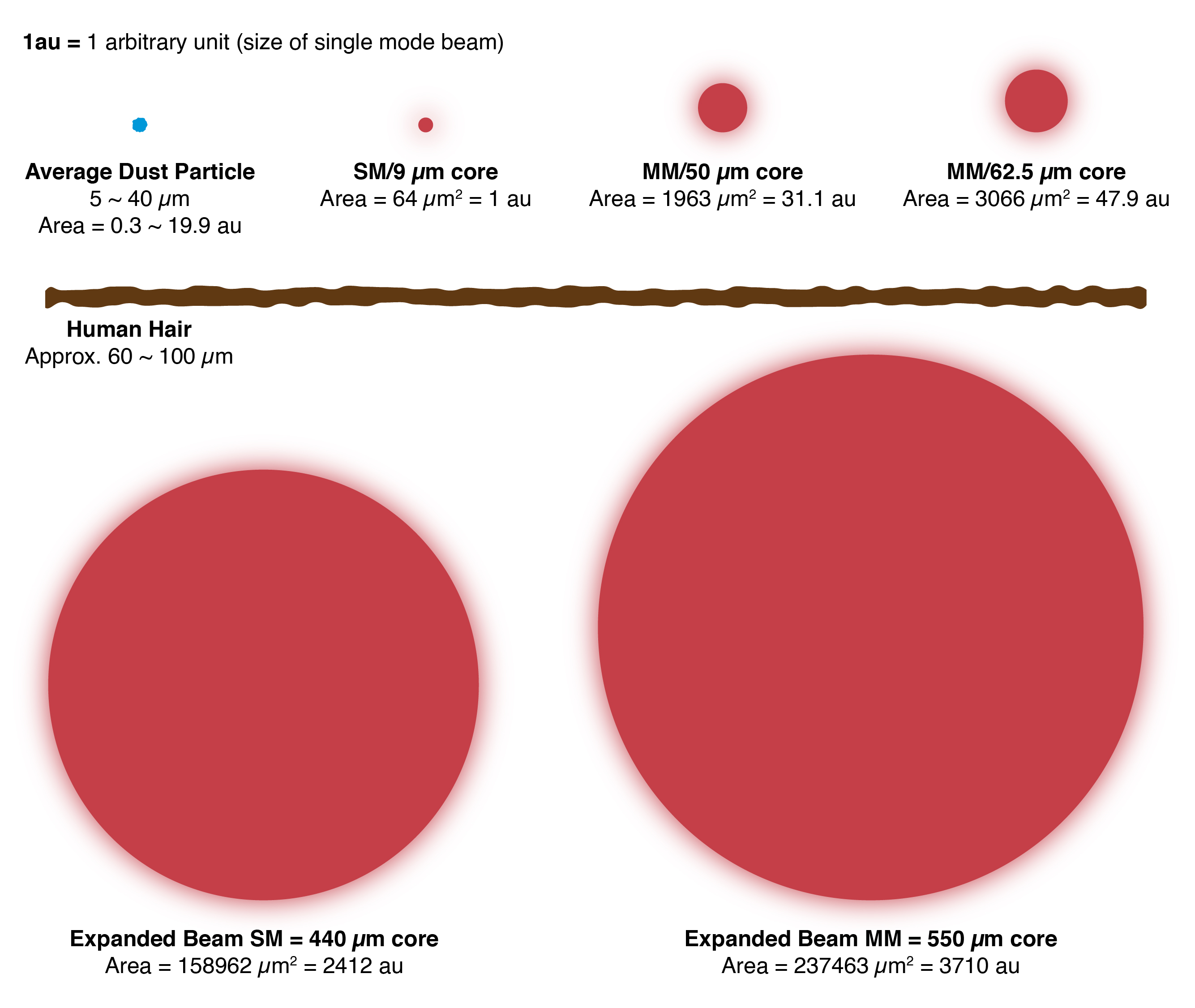 Comparison of EB core size to other fiber types and dust particles.